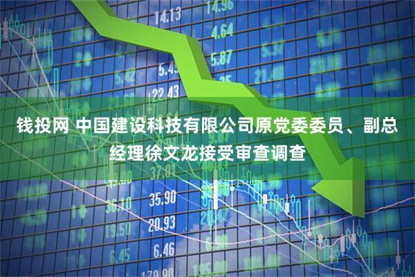 钱投网 中国建设科技有限公司原党委委员、副总经理徐文龙接受审查调查