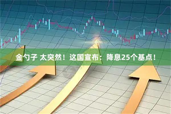 金勺子 太突然！这国宣布：降息25个基点！
