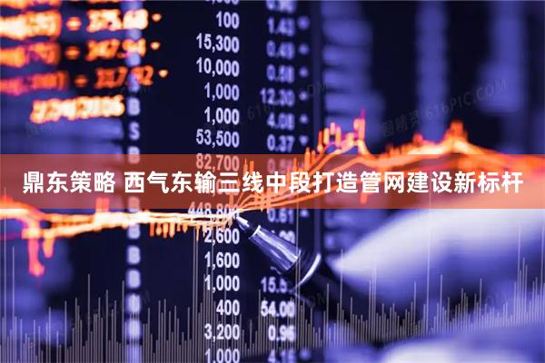 鼎东策略 西气东输三线中段打造管网建设新标杆