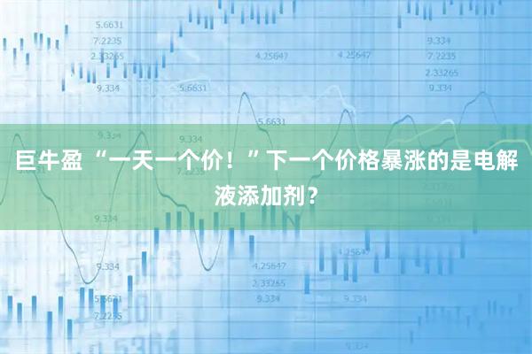 巨牛盈 “一天一个价！”下一个价格暴涨的是电解液添加剂？